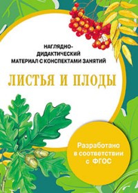 Папка. Листья и плоды