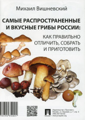 Самые распространенные и вкусные грибы