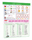 Справочные материалы: Basic English I