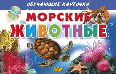 Морские животные. Обучающие карточки