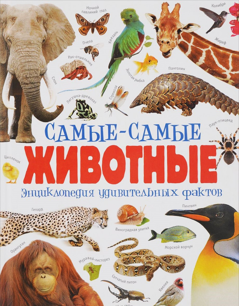Самые-самые животные | Живая природа