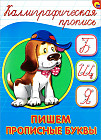 Каллиграфическая пропись. Пишем прописные буквы