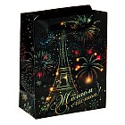 Пакет ламинат вертикальный «Огни Парижа» (12×15×6 см)