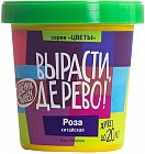 Набор для выращивания «Роза китайская»