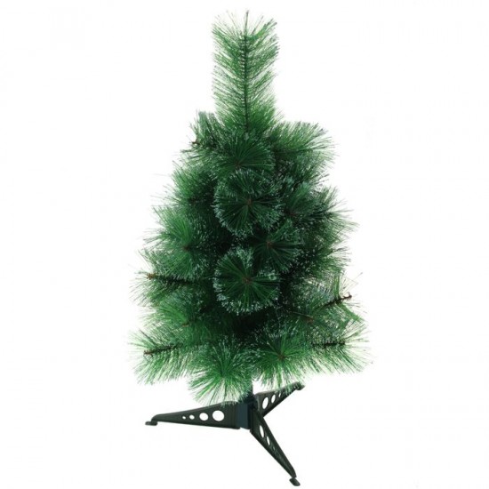 Кедр «Северное сияние», 60 см