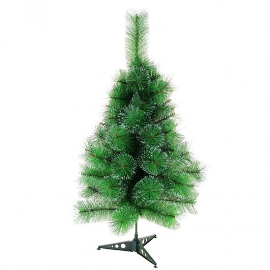 Кедр «Северное сияние», 90 см