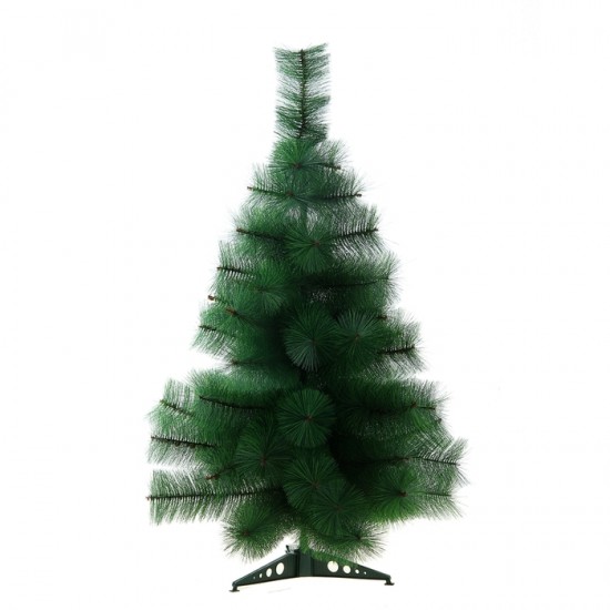 Кедр зелёный, 90 см