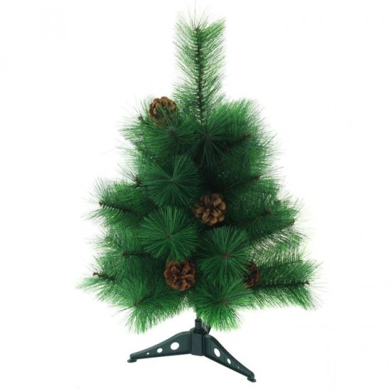 Кедр зелёный с шишками, 60 см