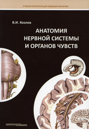 Анатомия нервной системы и органов чувств