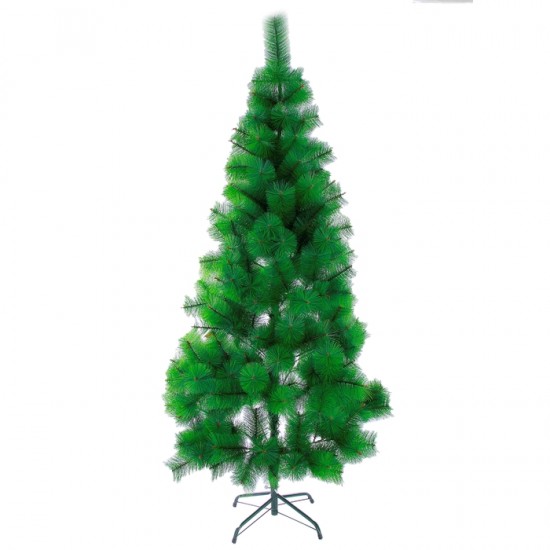 Кедр зелёный, 180 см