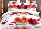 Комплект постельного белья «Tango» (арт. df04-37, евро, поплин, 2 наволочки 50х70 и 2 наволочки 70х70)