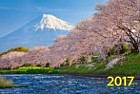 Календарь квартальный на 2017 год «Цветение сакуры»