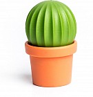 Набор для специй «Cactus»