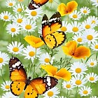 Полотенце вафельное «Бабочки» (50х60)