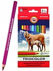 Набор цветных карандашей KOH-I-NOOR Triocolor 24 цвета