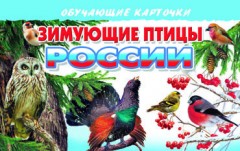 Зимующие птицы России