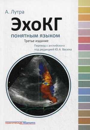 ЭхоКГ понятным языком