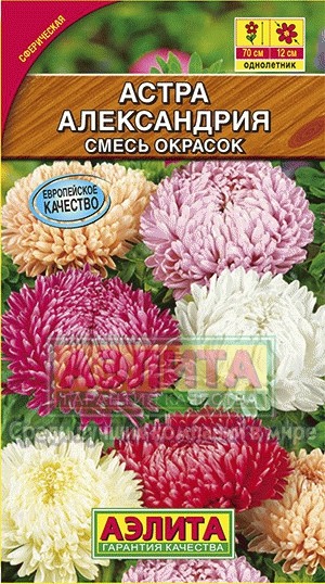 Семена. Астра «Александрия», смесь окрасок