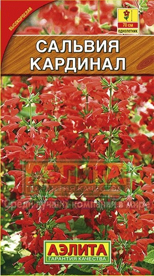 Семена. Сальвия «Кардинал», 0,1 г