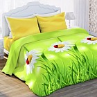 Комплект постельного белья «Ромашки луговые» (арт. 11901, 1,5-спальный, БИОкомфорт, 2 наволочки 70х70)