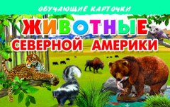 Животные Северной Америки