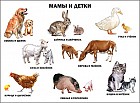 Плакат. Мамы и детки