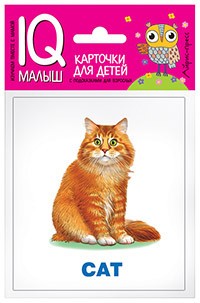 Умный малыш. English. Домашние питомцы