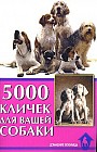 5000 кличек для вашей собаки