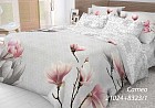 Комплект постельного белья «Cameo» (2-спальный, ранфорс, 2 наволочки 70х70)