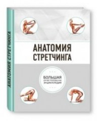Анатомия стретчинга
