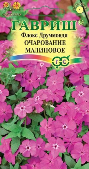 Семена. Флокс «Очарование Малиновое», 0,05 г