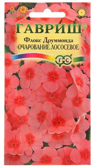 Семена. Флокс «Очарование Лососевое», 0,05 г