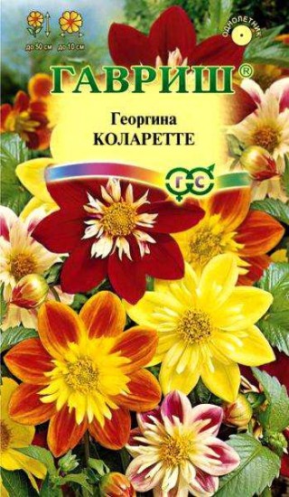 Семена. Георгина «Коларетте», 0,2 г