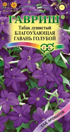 Семена. Табак «Благоухающая Гавань»