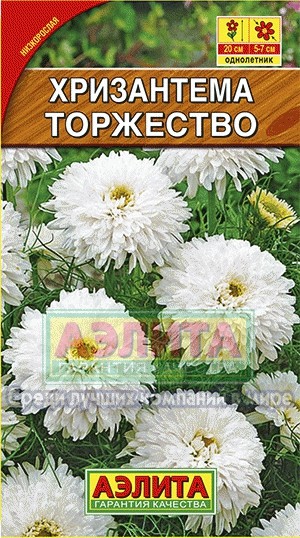 Хризантема букетная «Торжество», 0,1 г