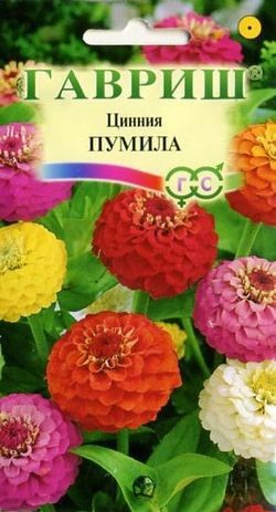Семена. Цинния «Пумила», 0,5 г