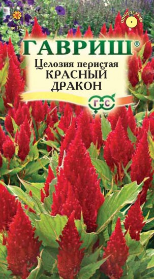 Семена. Целозия «Красный Дракон», 0,1 г