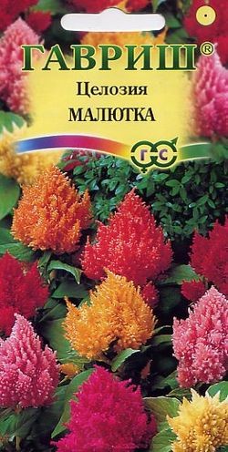 Семена. Целозия «Малютка», 0,01 г