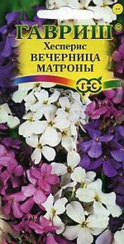 Семена. Хесперис «Вечерница Матроны», 0,3 г