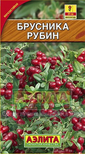 Брусника «Рубин», 0,01 г