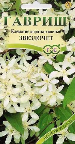 Клематис короткохвостый «Звездочет», 0,05 г