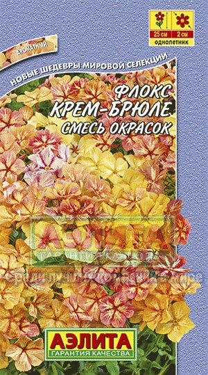 Флокс «Крем брюле», 0,1 г