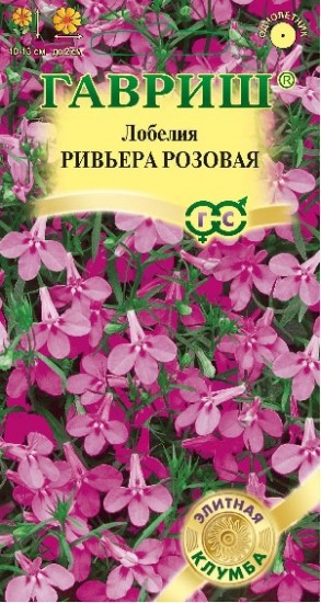 Лобелия «Ривьера Розовая», 5 шт