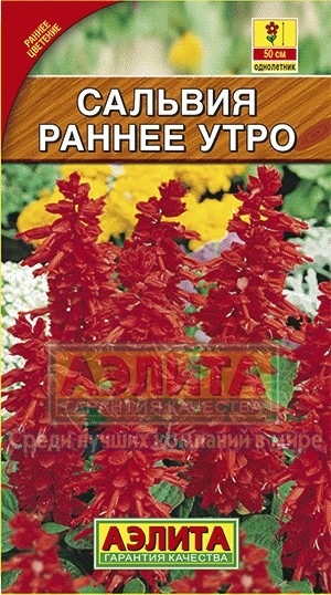 Сальвия «Раннее утро», 0,1 г