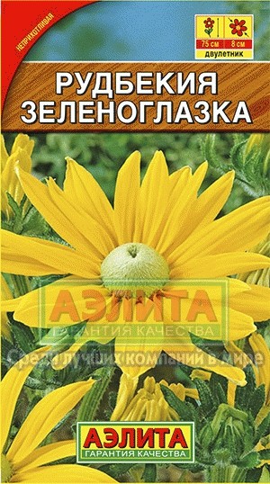 Рудбекия «Зеленоглазка», 10 шт