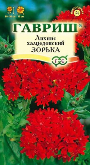 Семена. Лихнис халцедонский «Зорька», 0,1 г