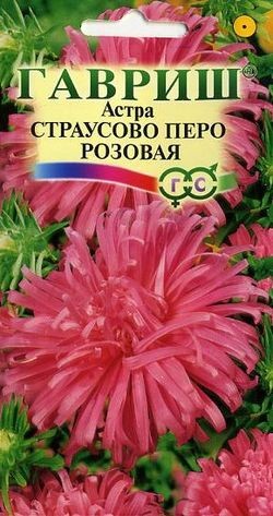 Семена. Астра «Страусово перо розовая», 0,3 г