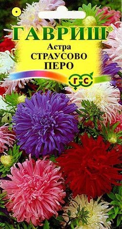 Семена. Астра «Страусово перо», 0,3 г
