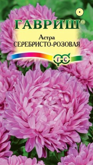 Семена. Астра «Серебристо-розовая», 0,3 г