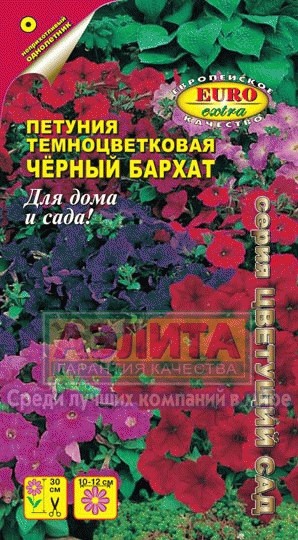 Петуния «Черный бархат», 0,04 г